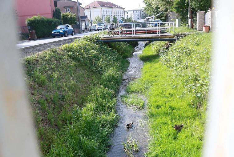 19.08.2026. Zvukovi i mirisi Črnomerca