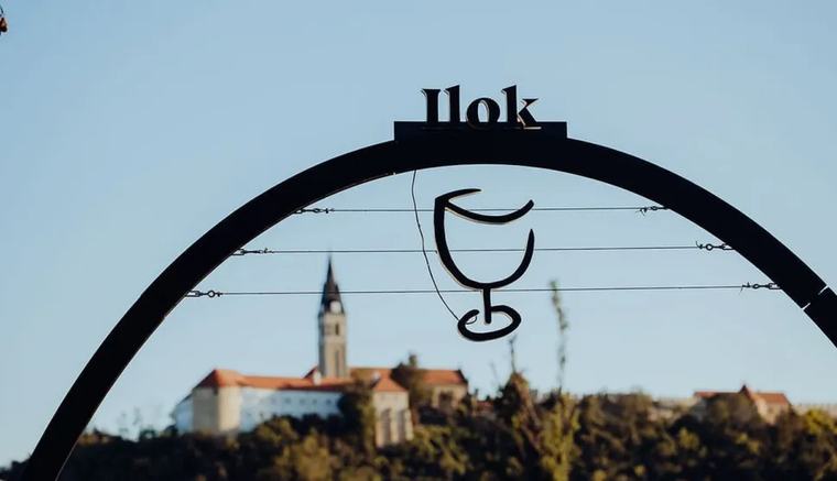 Ilok ponovno slavi vino i tradiciju: Od 4. do 6. rujna bogat program 59. Iločke berbe grožđa