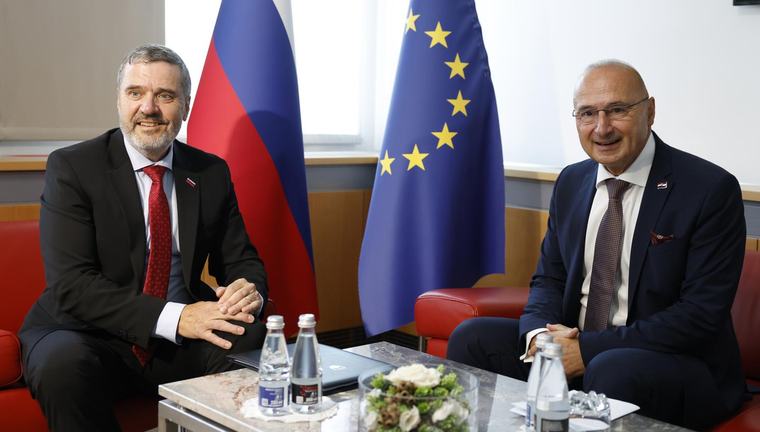 Šefovi diplomacija Hrvatske i Slovenije osudili Mladićev doček u Beogradu