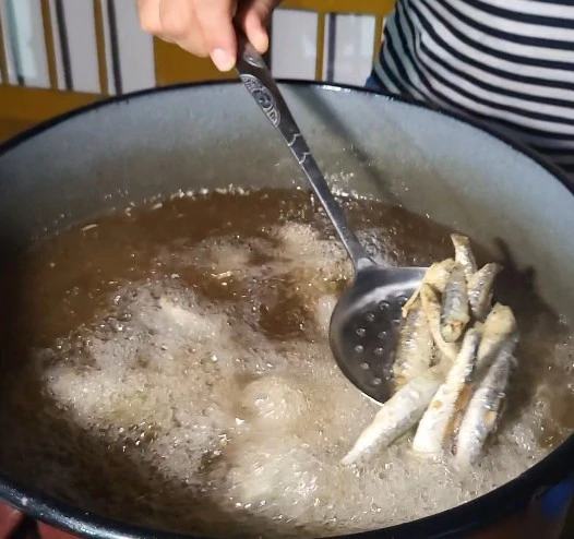 Dalmatinska večer u Subotici: "Donijeli smo dašak Mediterana u vojvođansku ravnicu"